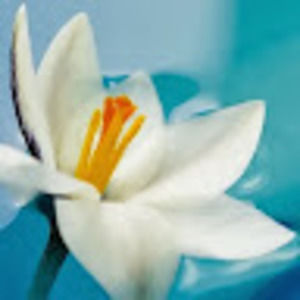 Meet your Posher, J.t.